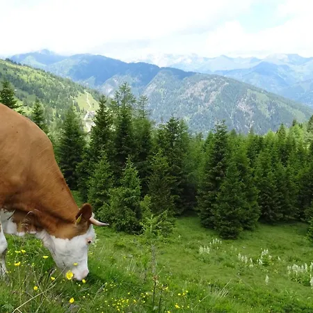 Ski-in&out Auf 1641m, Sauna, Tiefgarage Appartamento *