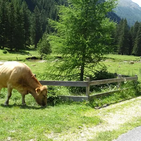 Ski-in&out Auf 1641m, Sauna, Tiefgarage Katschberghöhe