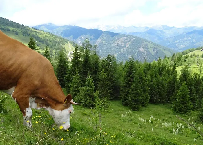 Ski-in&out Auf 1641m, Sauna, Tiefgarage Apartament *