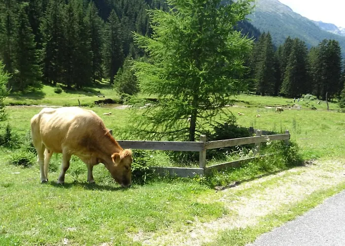 Ski-in&out Auf 1641m, Sauna, Tiefgarage Katschberghöhe